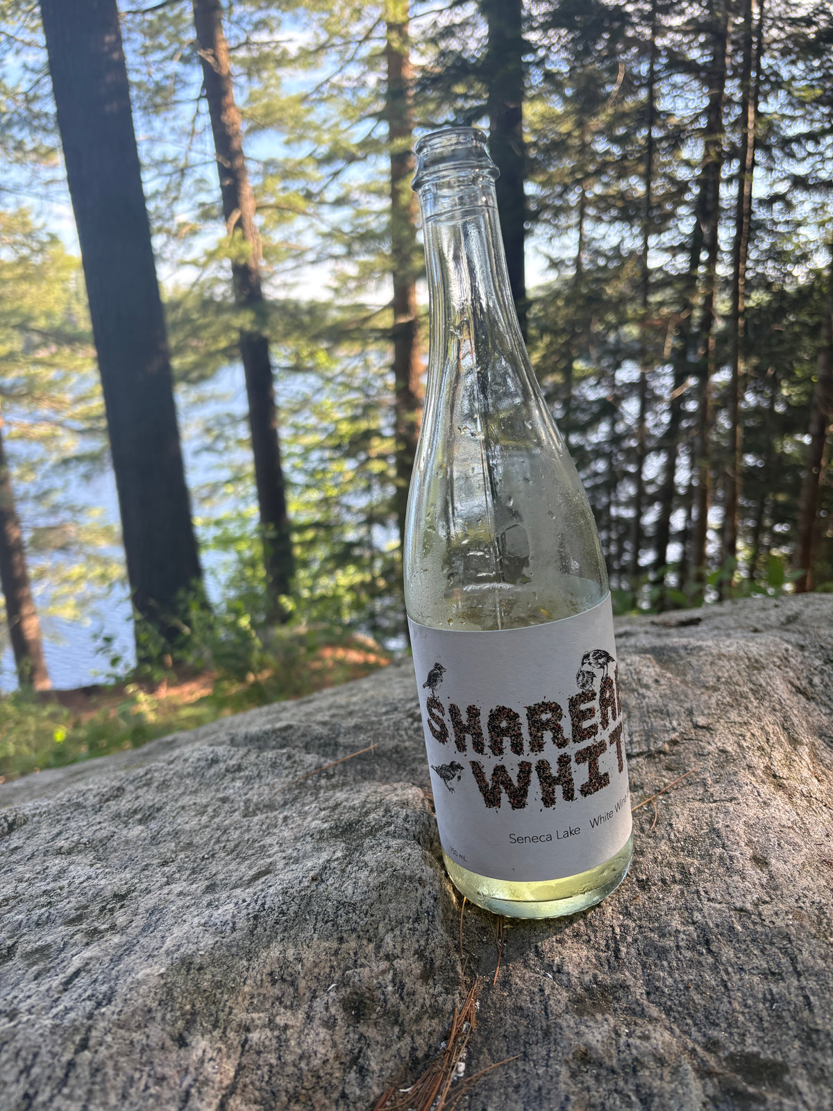 To Share is To Love