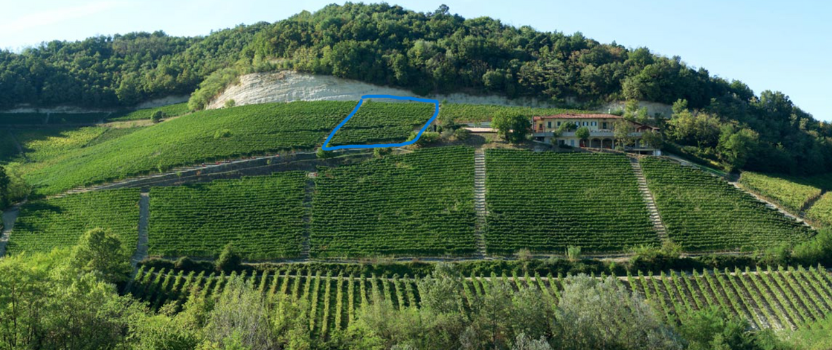 A Deep Dive into Elio Grasso Barolo Gavarini Chiniera 2022