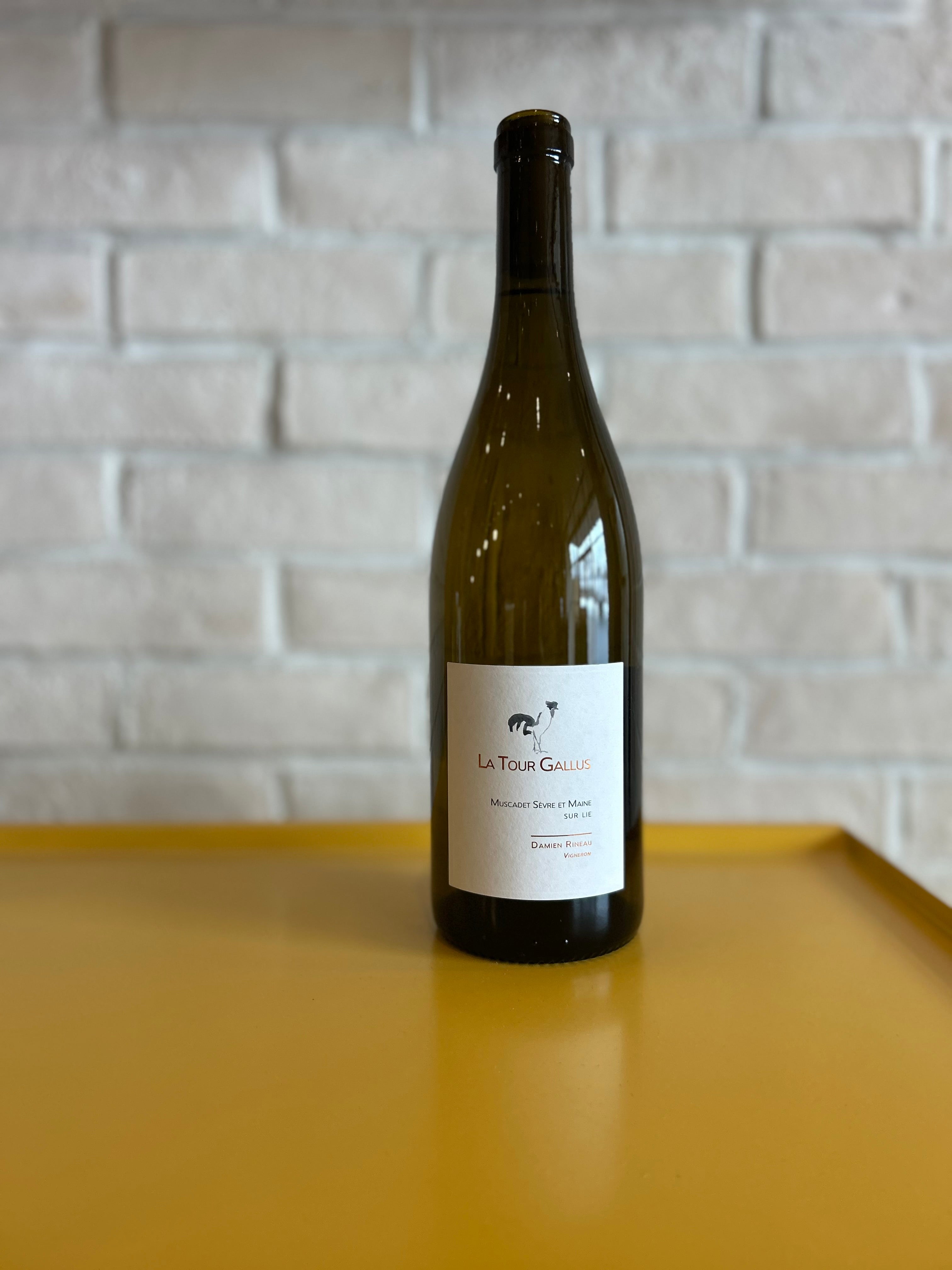 La Tour Gallus Muscadet Sevre et Maine 2023