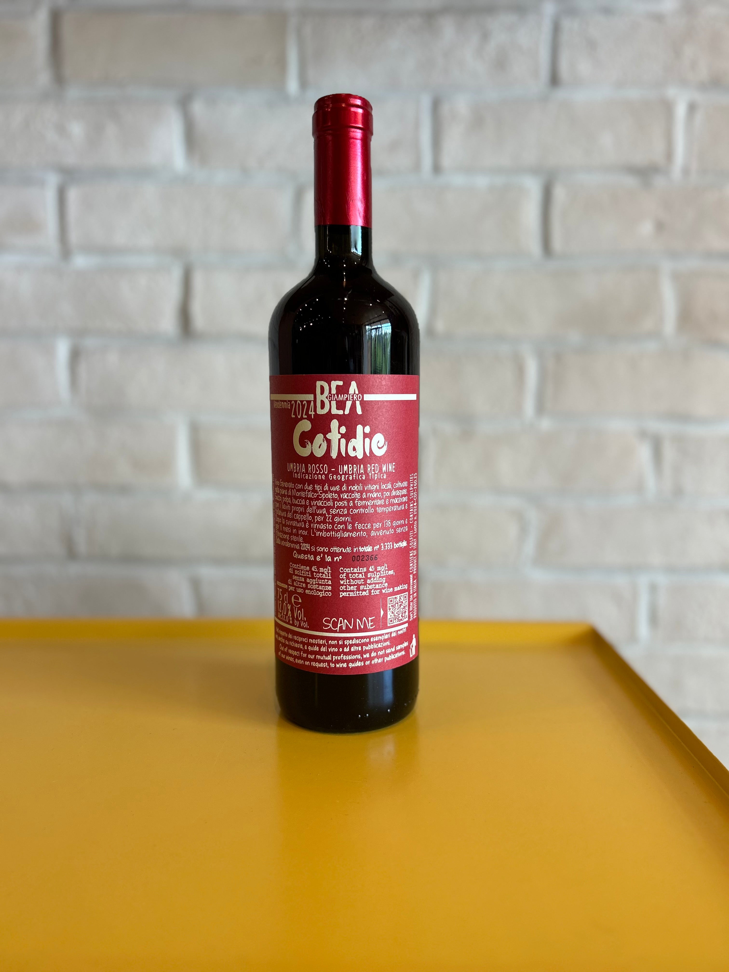 Paolo Bea Cotidie Umbria Rosso 2024