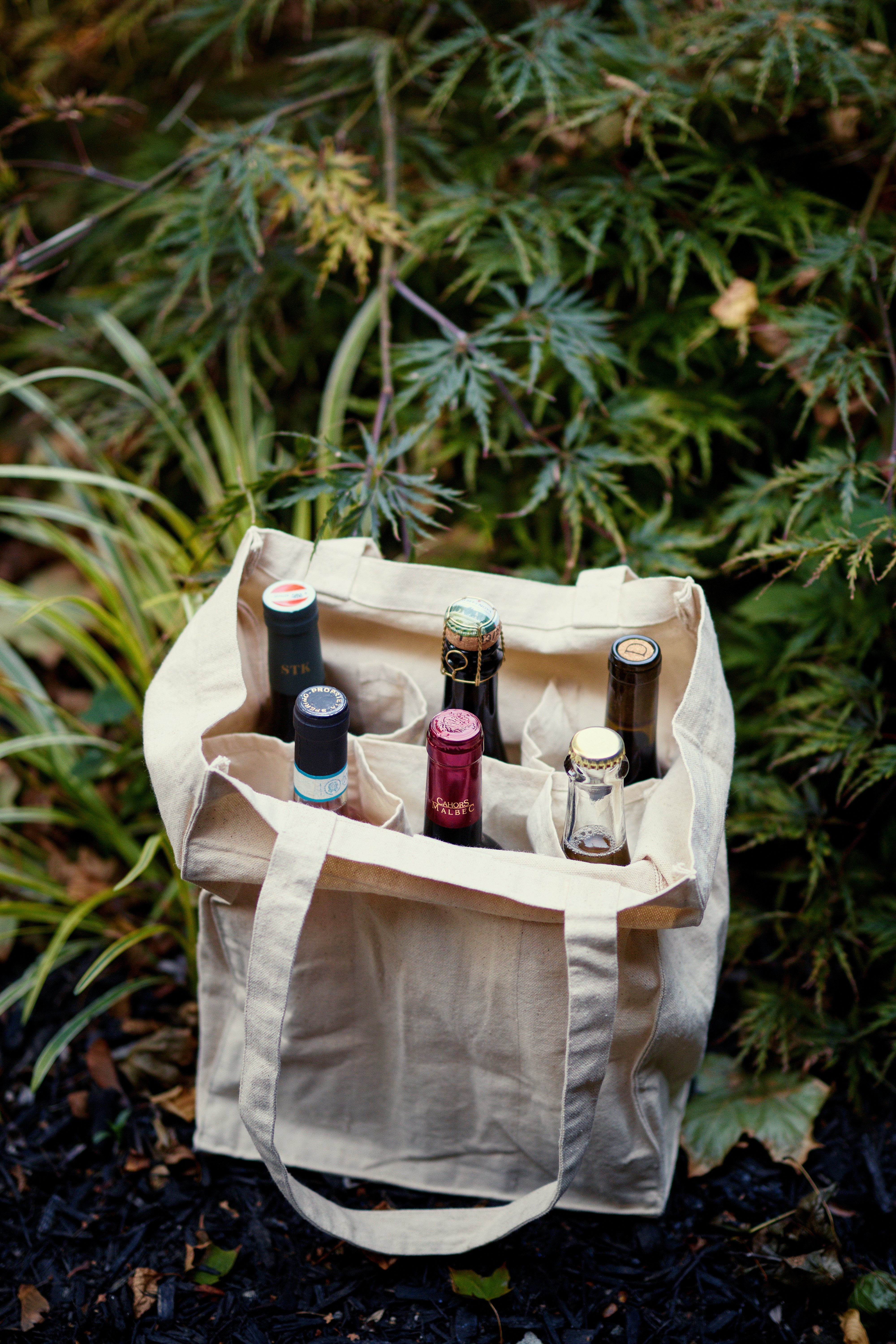 Canvas Travel 6-Bottle Wine Carrier Tote Bag