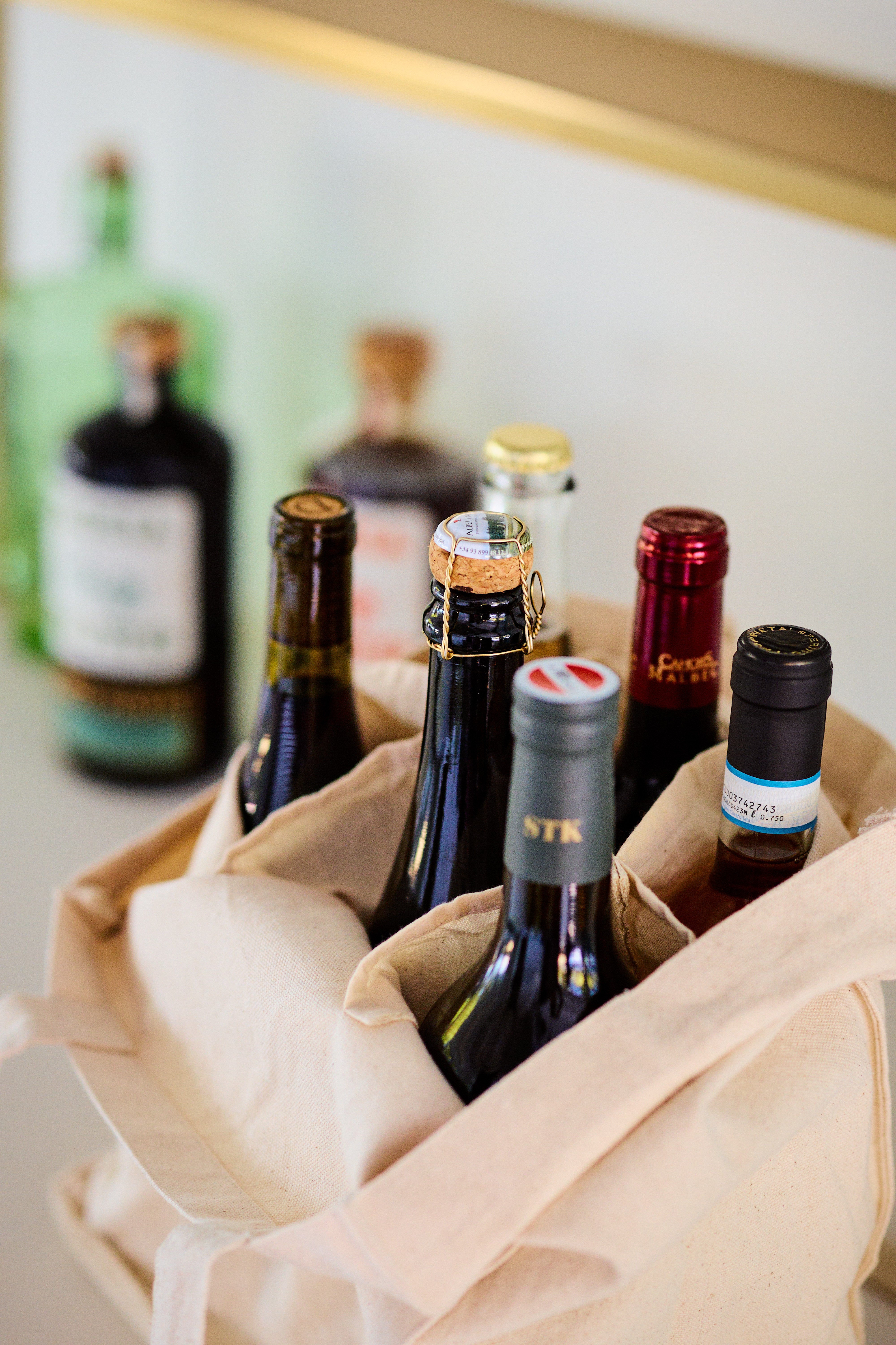 Canvas Travel 6-Bottle Wine Carrier Tote Bag