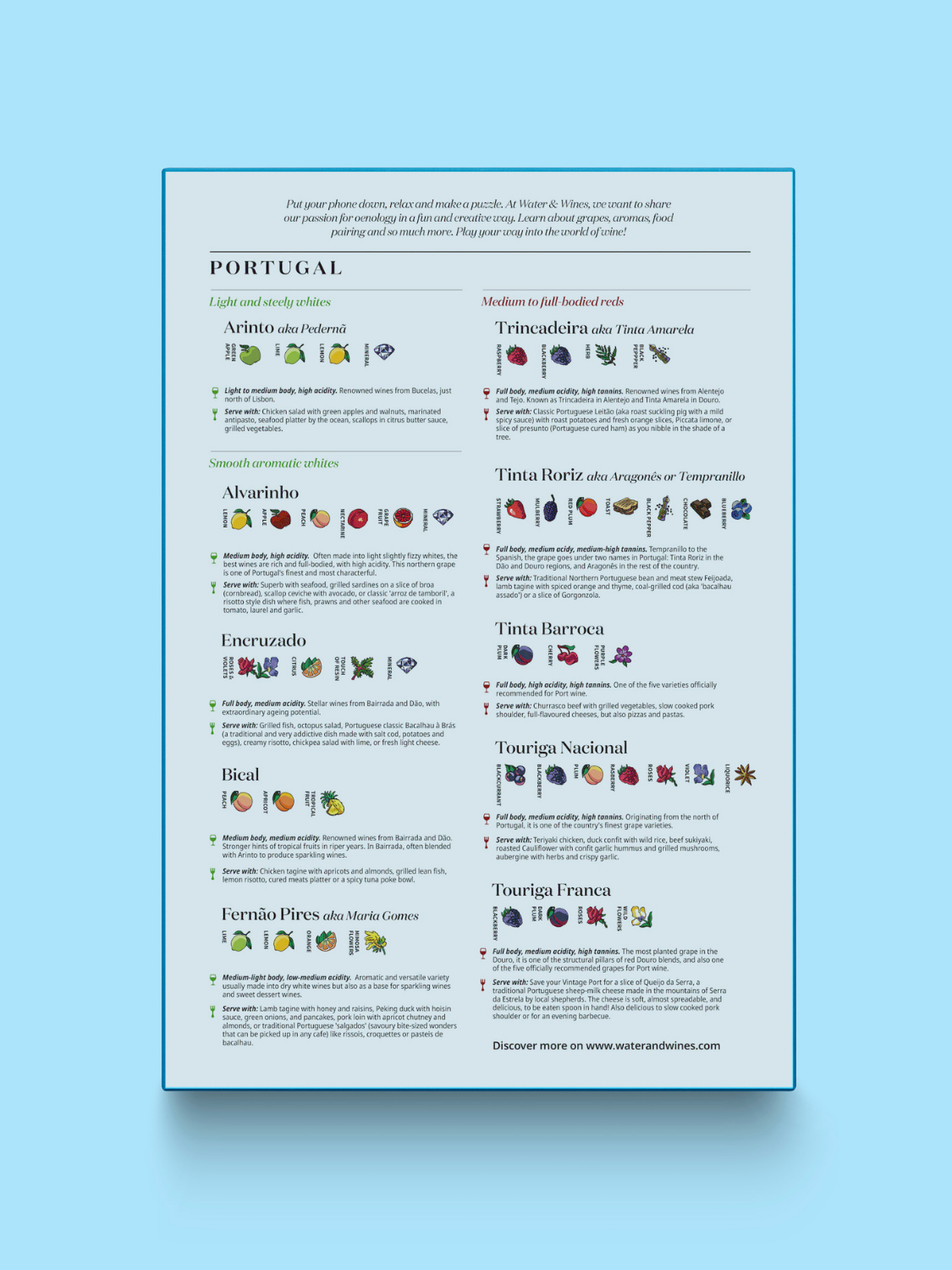 Portugal Wine Puzzle